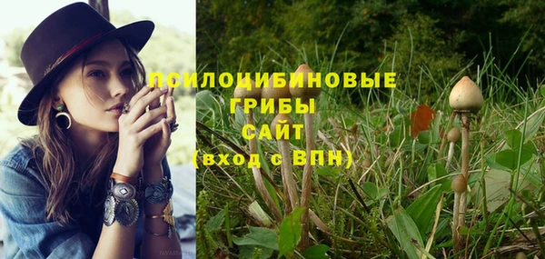молекула духа Волоколамск