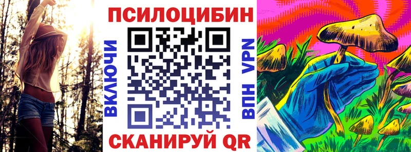 магазин    Осинники  Галлюциногенные грибы Magic Shrooms 